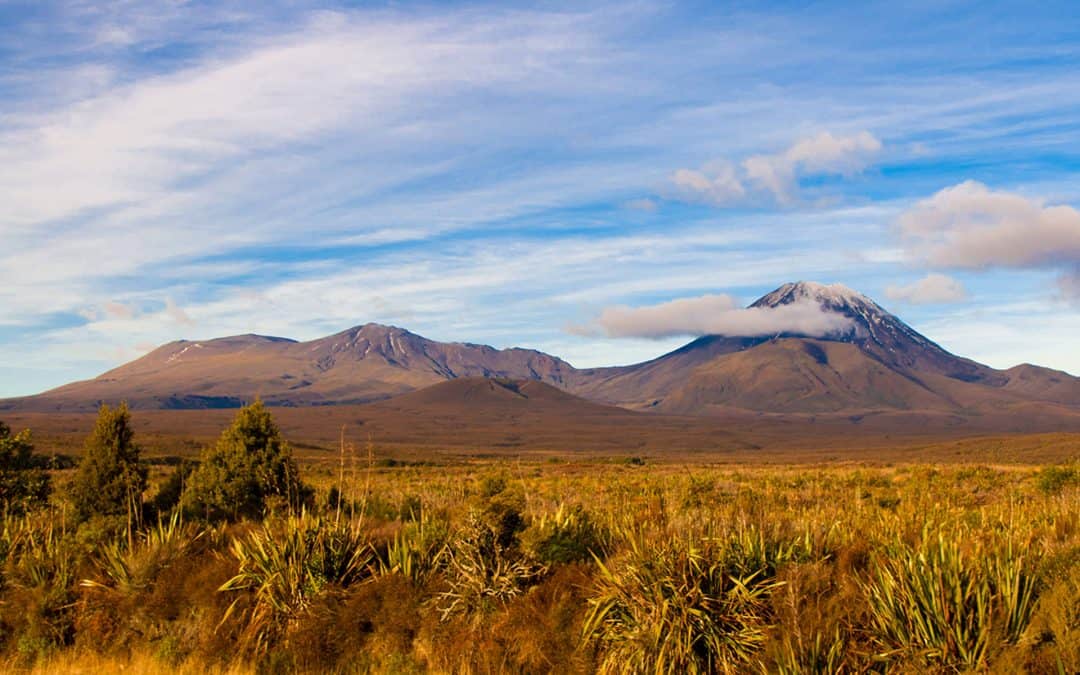 Neuseeland D.O.C Campingplätze